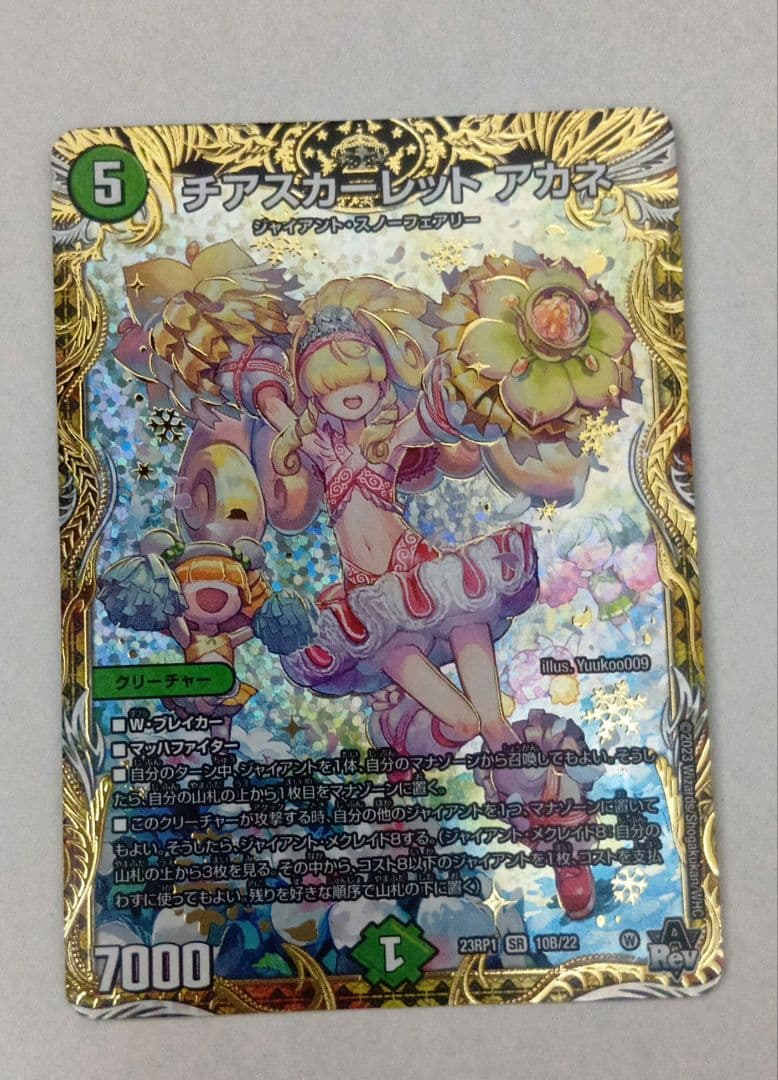 チアスカーレット　アカネ　B