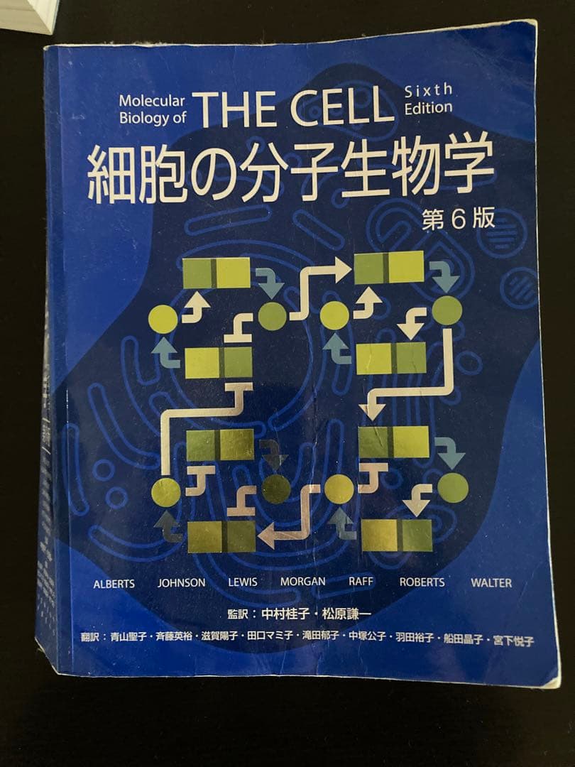 THE CELL 細胞の分子生物学