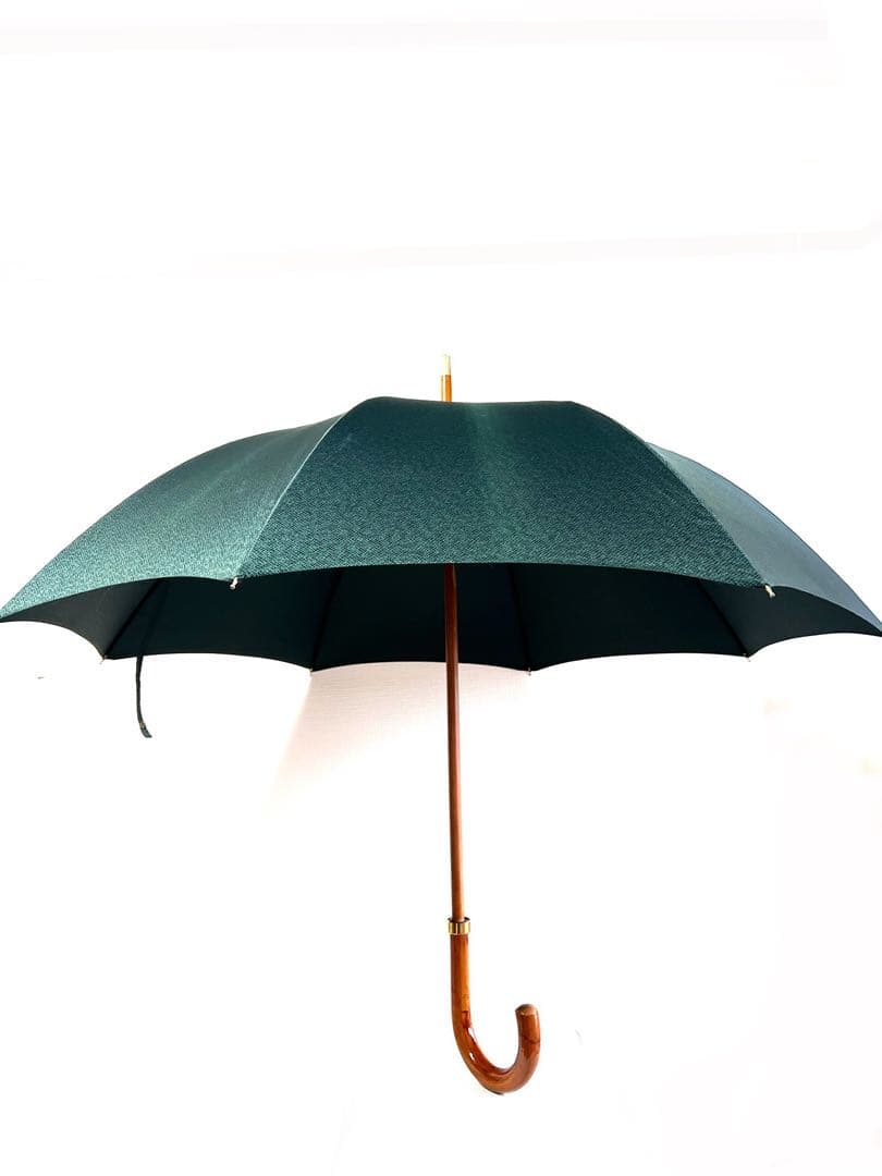 LOUIS VUITTON タイガ 傘 〈Taiga〉Umbrella