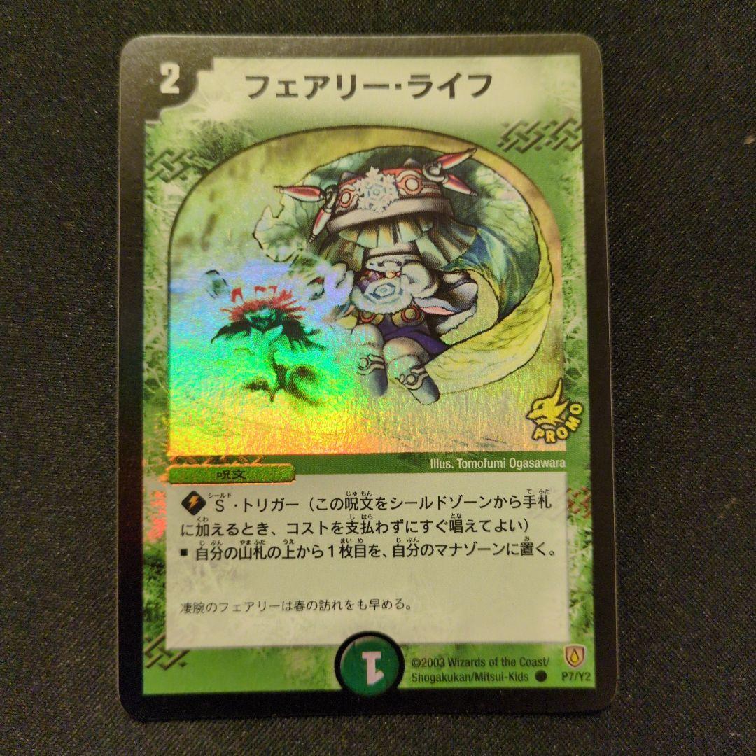 フェアリーライフ 初期プロモ