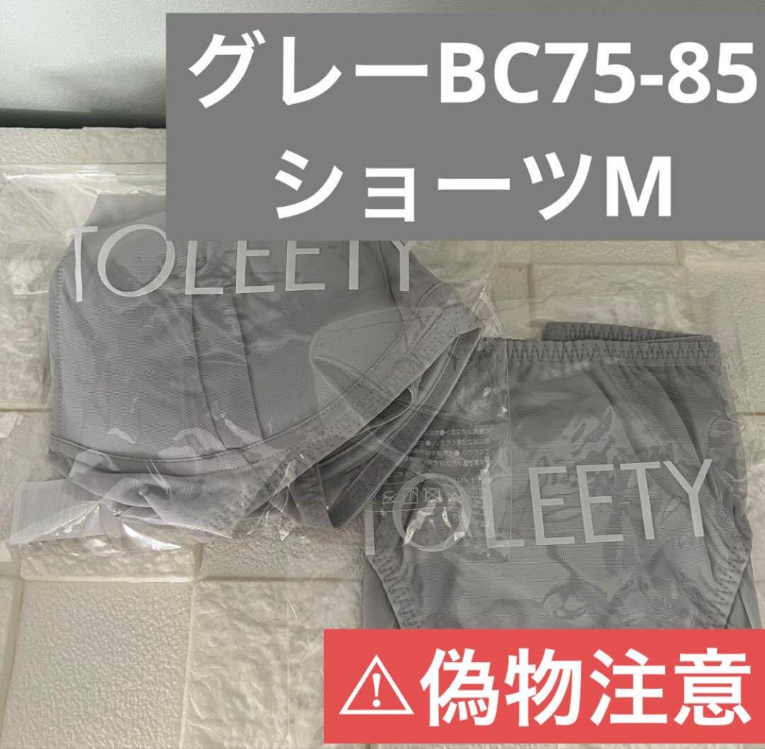 TOLEETY 軽やかストレスフリーブラ&ショーツ ⭐️グレー⭐️D75-85