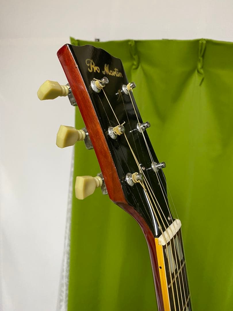 新春特価 カントリーしようぜ！ProMartin ハミングバード エレアコ