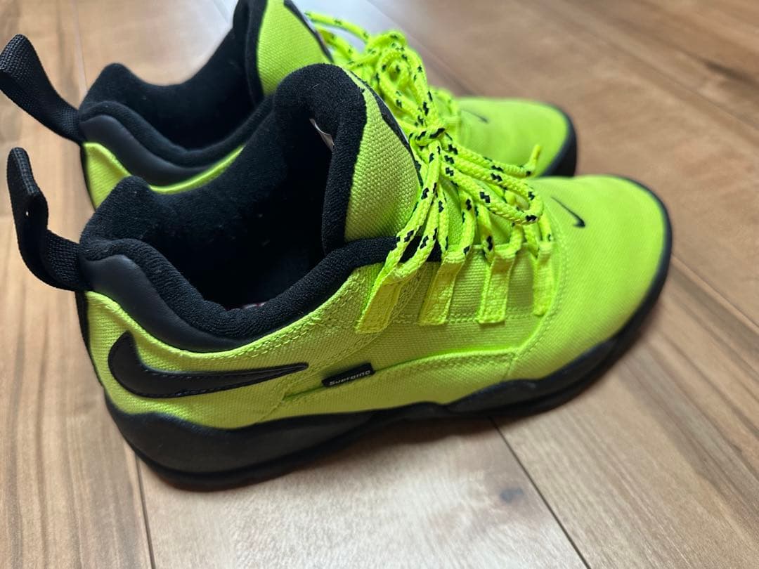 Supreme x Nike SB darwin green ダーウィン