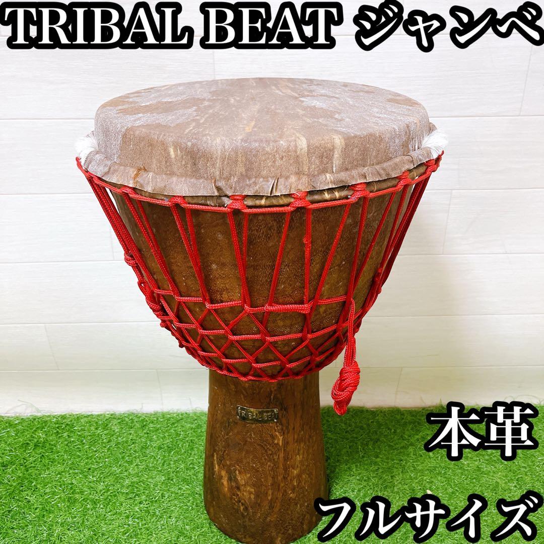 TRIBALBEAT トライバルビート ジャンベ 本革 フルサイズ 打楽器