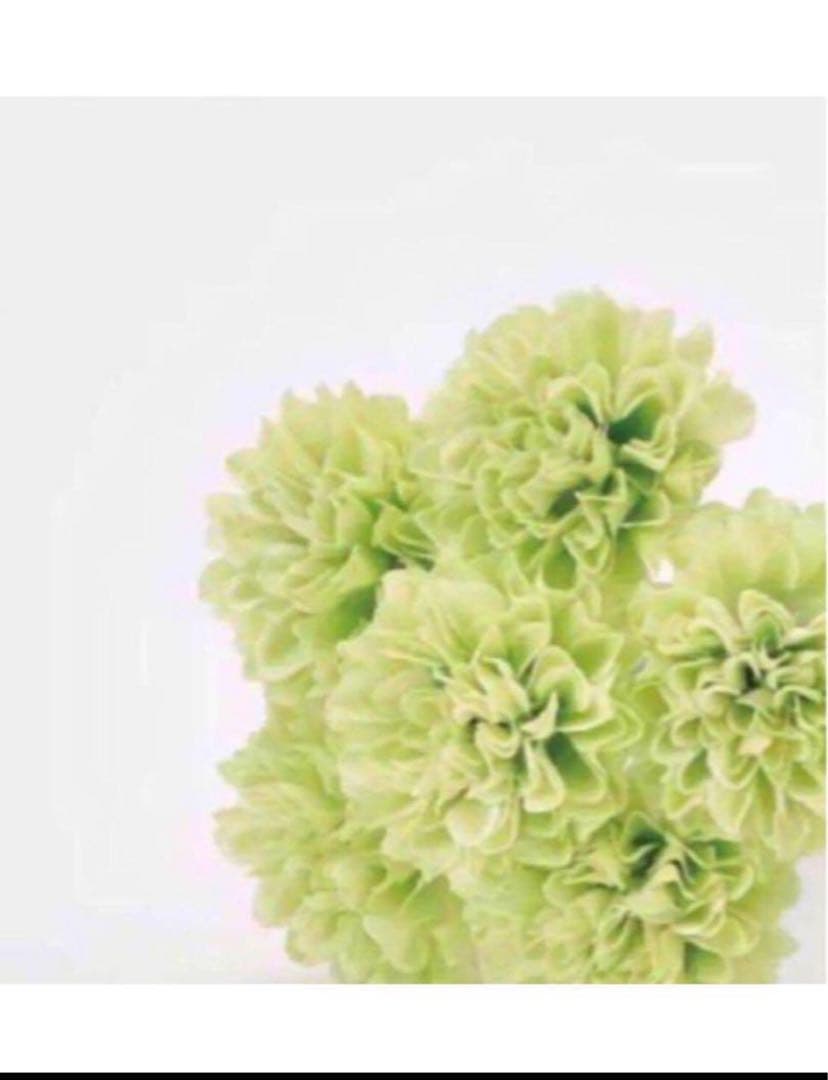 まぁ EX W1レフィル