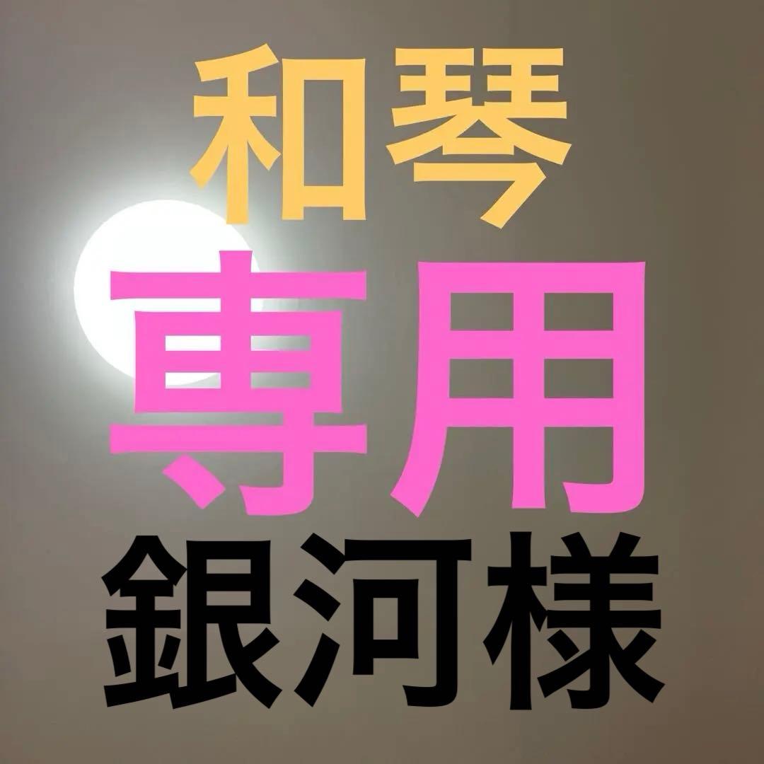 和琴一式（初心者用）