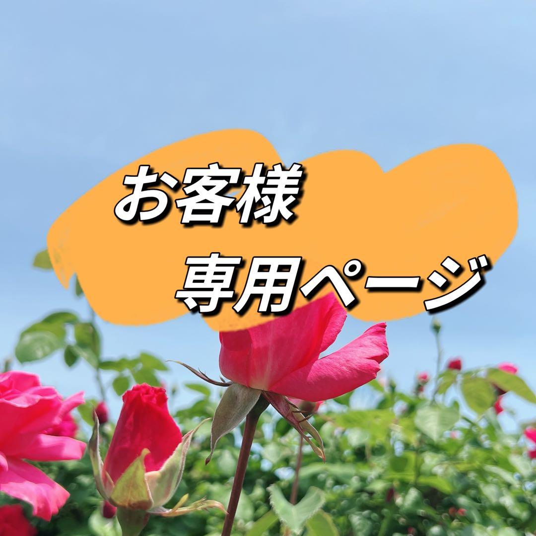 かず様リクエスト 10点まとめ商品スティック型バロックパール　ネックレス　ピアス