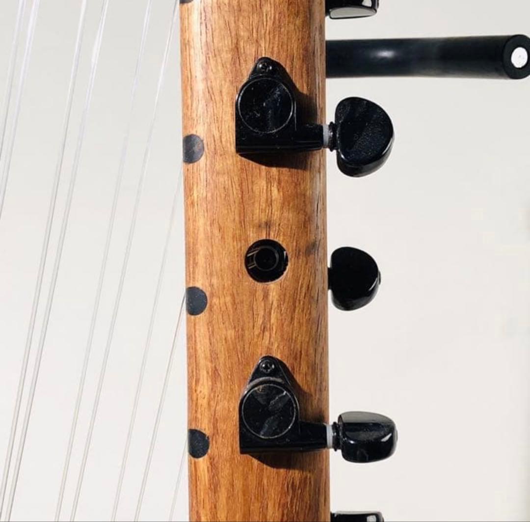 Baragnouma カマレンゴニ 12弦 ソフトケース付き ジャンベ