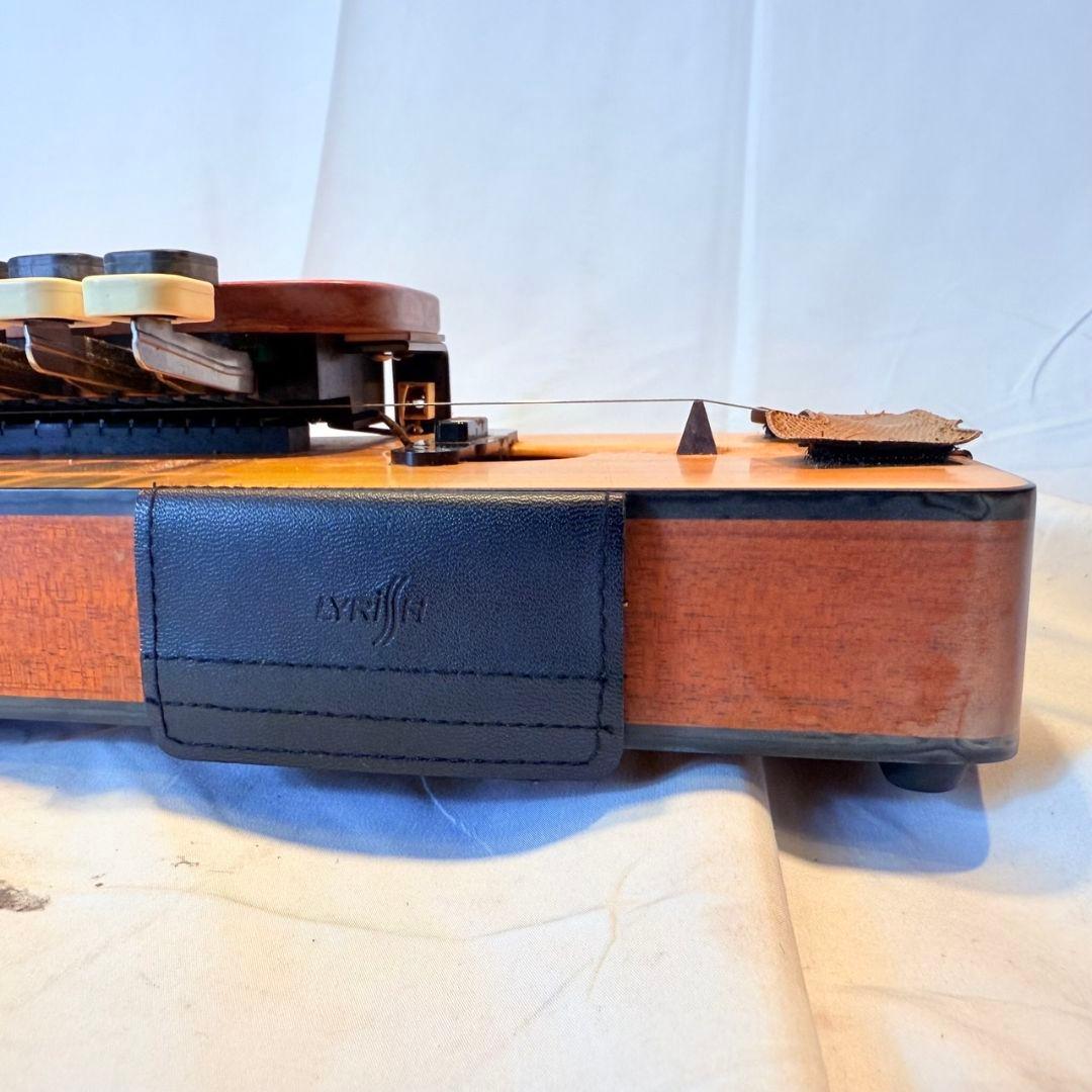 LYRISH(ライリッシュ) LPS50大正琴　 ピックアップ付き