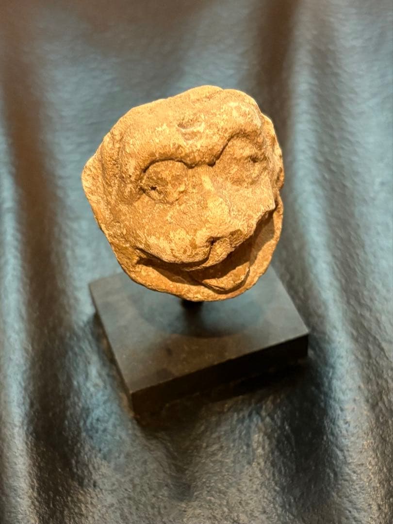 ハッダ　ストゥッコ　獅子頭部残欠 特別販売品】獅子頭 宇津 1.3尺(幅39.4cm高36.5cm奥34cm)新品ですが