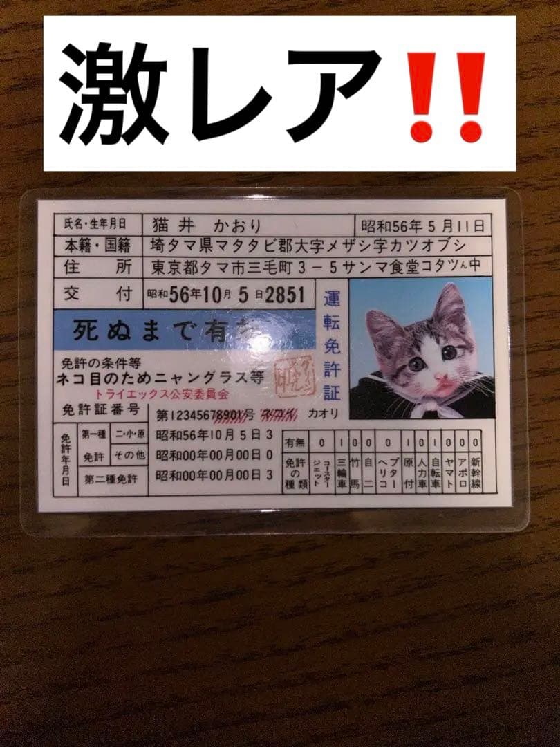 激レア なめ猫免許証 猫井かおり 昭和レトロ 昭和56年 美品 - メルカリ