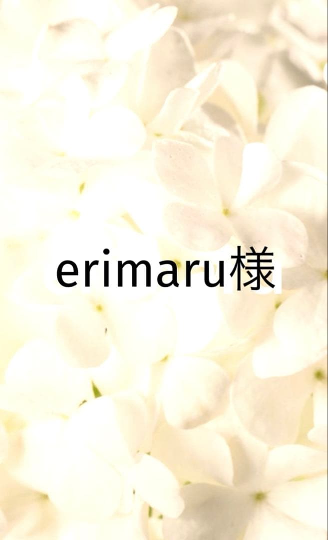 CQ3点 4+ 2023 Kawasaki ZX400, S | ML5ZXCS13PDA00794 | Bid History | BidCars