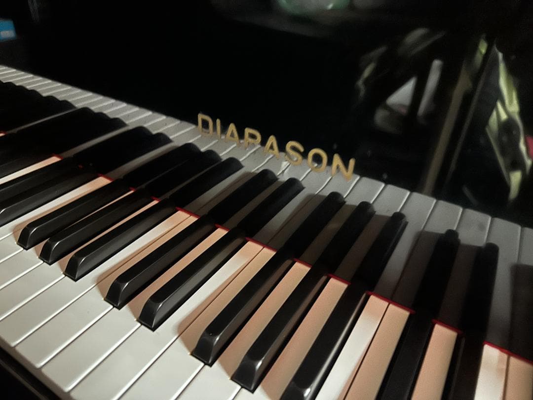 DIAPASON(ディアパソン) 183E