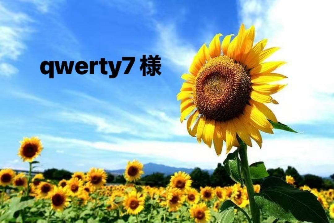qwerty7様