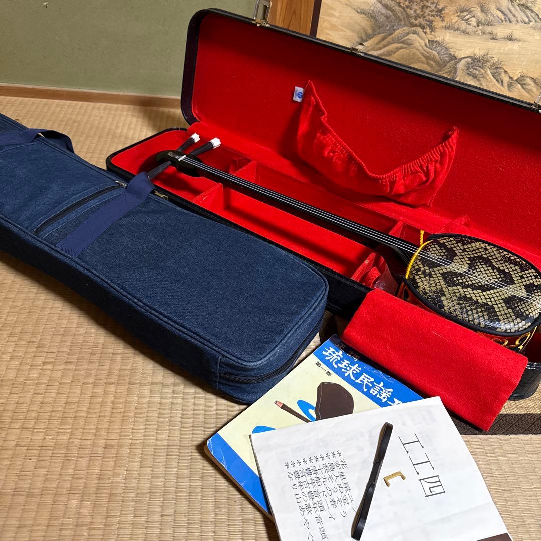 三線本体 ソフトキャリー　ハードケース付き