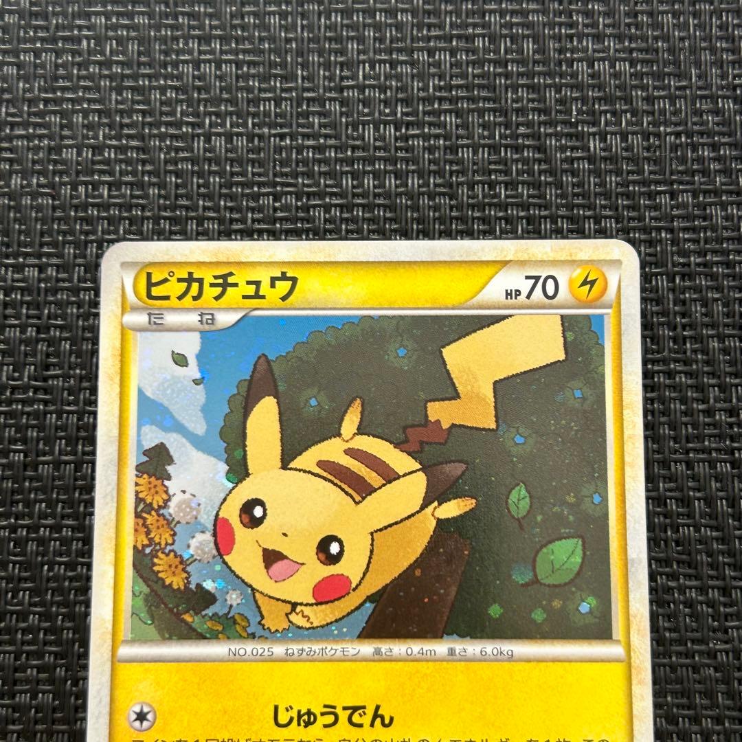 ピカチュウ だいすきクラブ プロモ psa10 ゴールドランク 019/L-P