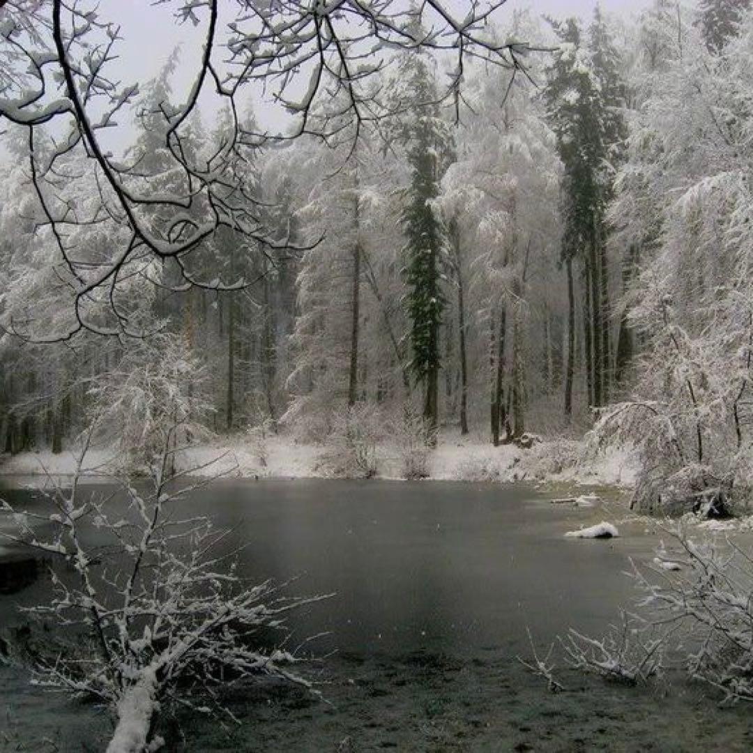 靴 kk.mmk0129 Kayak Manitobah USA