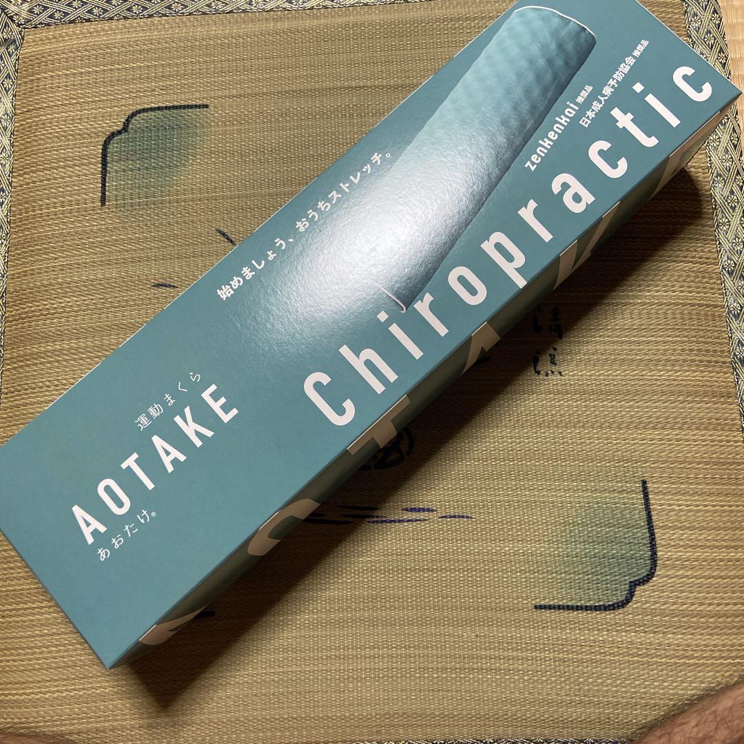 【新品】あおたけ　運動まくら