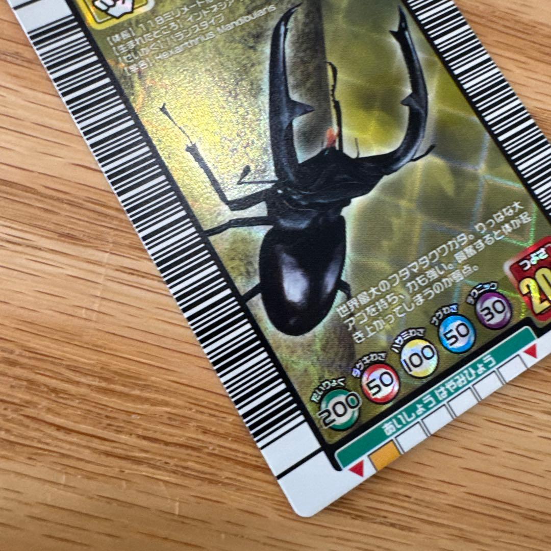 ムシキング マンディブラリスフタマタクワガタ【5742 - メルカリ