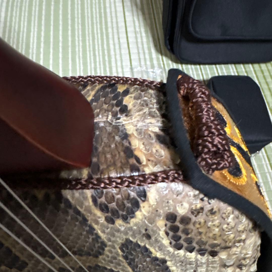 三線 蛇三線 本皮 本革 蛇皮 蛇革 三味線 琉球 沖縄 楽器 ソフトケース