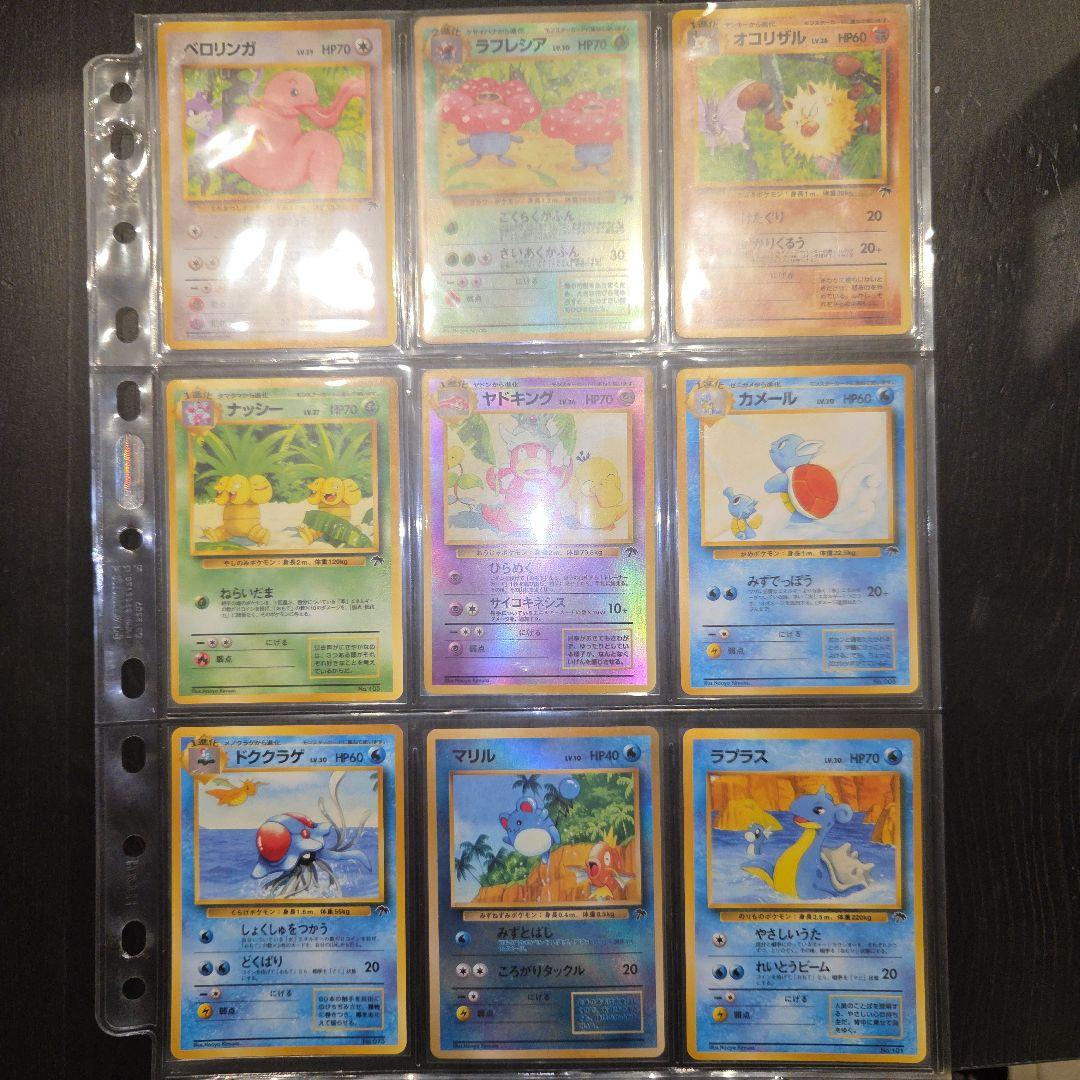 ポケモンカード旧裏 プレミアムファイル/トロピカルアイランド