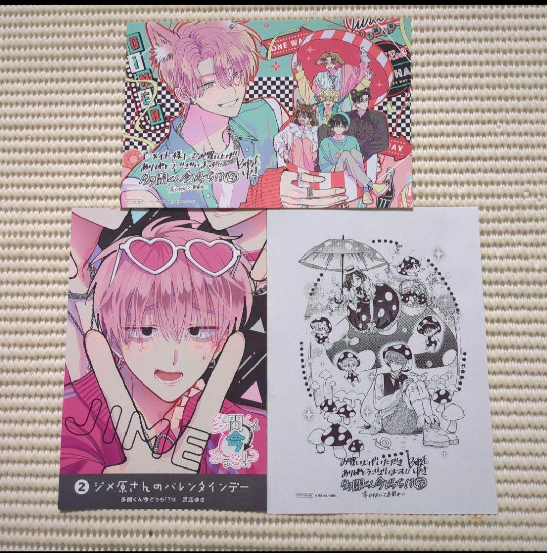 ㉑ 多聞くん今どっち!? 14巻 アニメイト特典 イラストカード 3枚セット