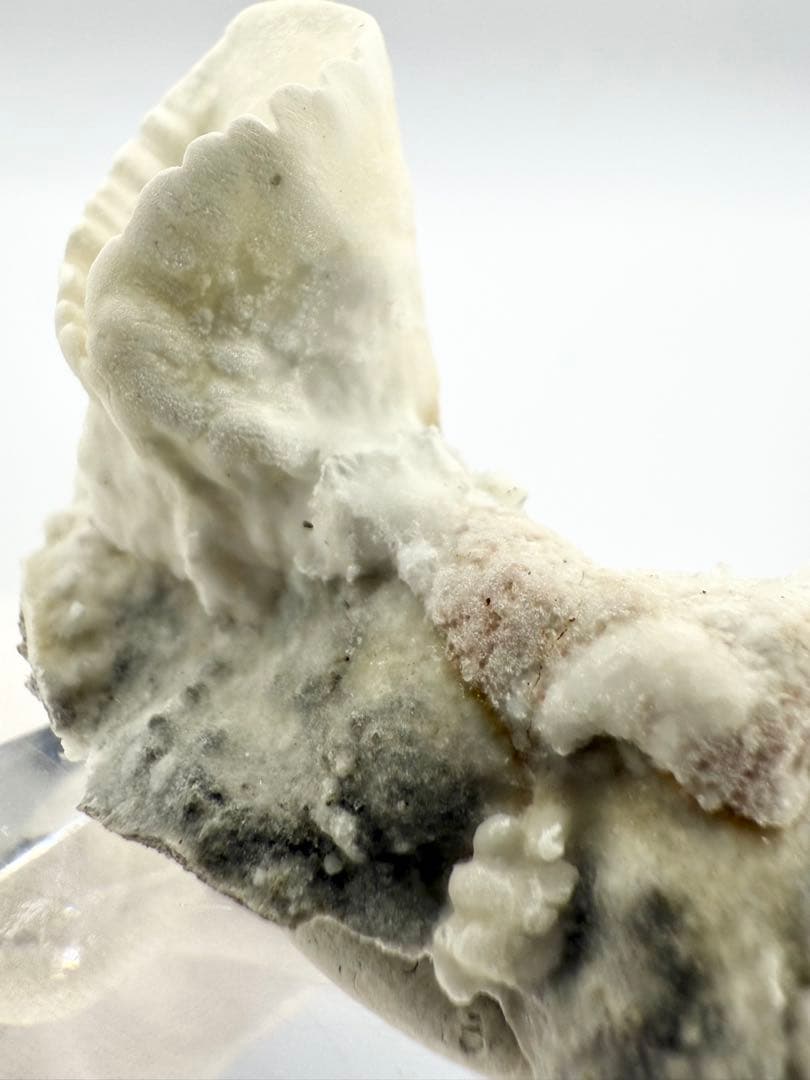アラゴナイト カップ 原石 鉱物標本 天然石 石 霞石