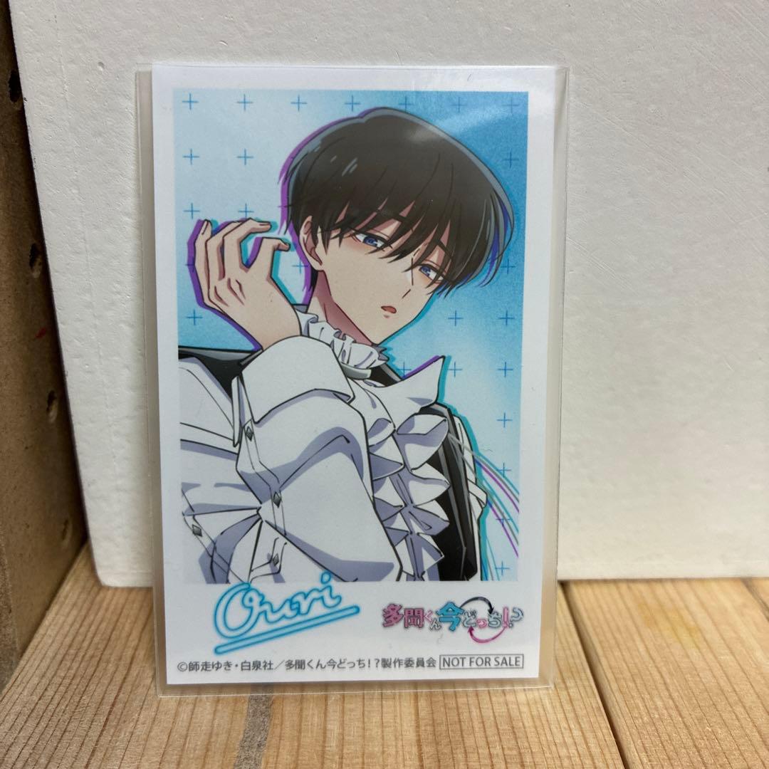 多聞くん今どっち！？ F/ACE CD アニメイト特典 3点セット 坂口桜利