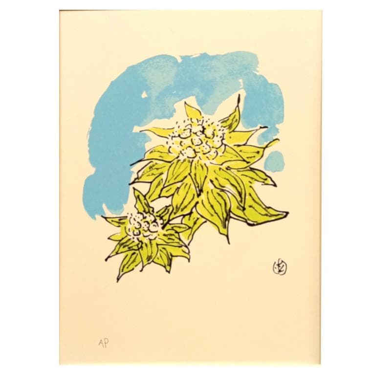 ☆坂本直行☆「ふきのとう」シルクスクリーン四ツ 未使用！ - メルカリ