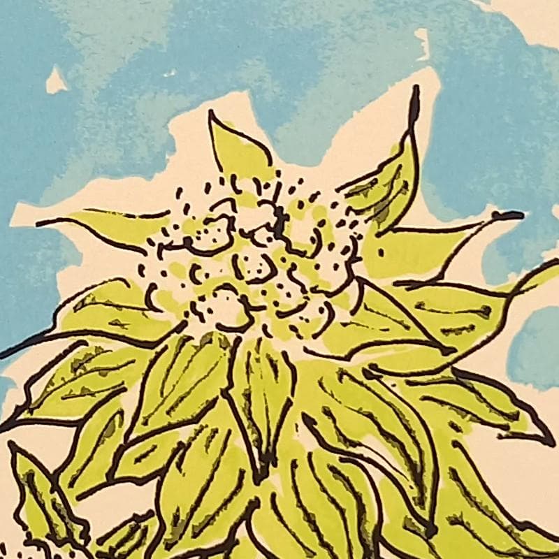 ☆坂本直行☆「ふきのとう」シルクスクリーン四ツ 未使用！ - メルカリ