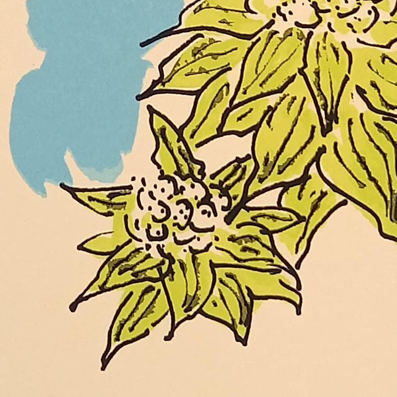 ☆坂本直行☆「ふきのとう」シルクスクリーン四ツ 未使用！ - メルカリ