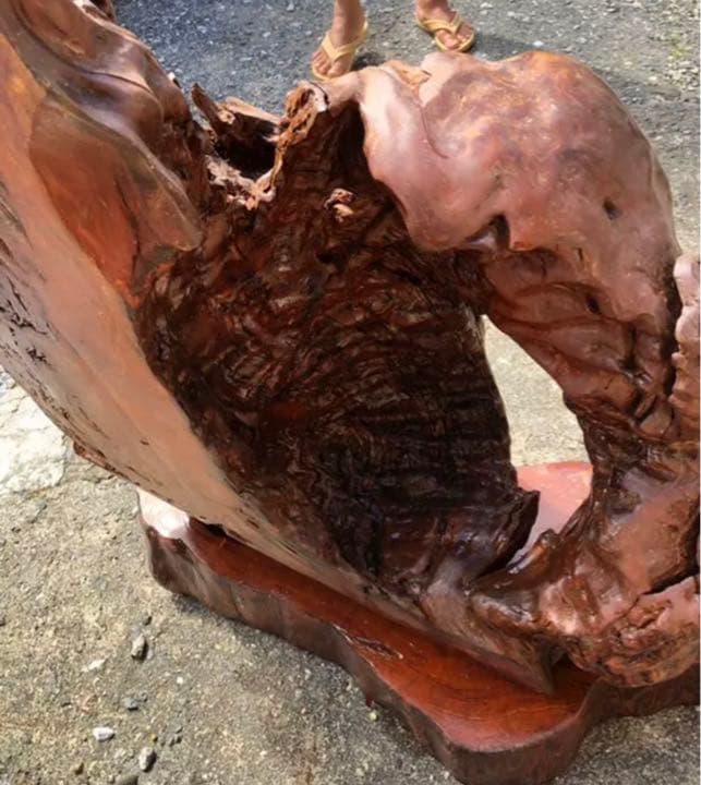 天然木 木の根 置物 オブジェ - メルカリ