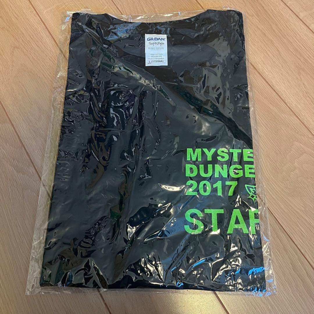 GReeeeN ライブスタッフTシャツ GRe4N BOYZ Amazon.co.jp: GReeeeN GRe4N BOYZ ライブTシャツ Lサイズ : おもちゃ