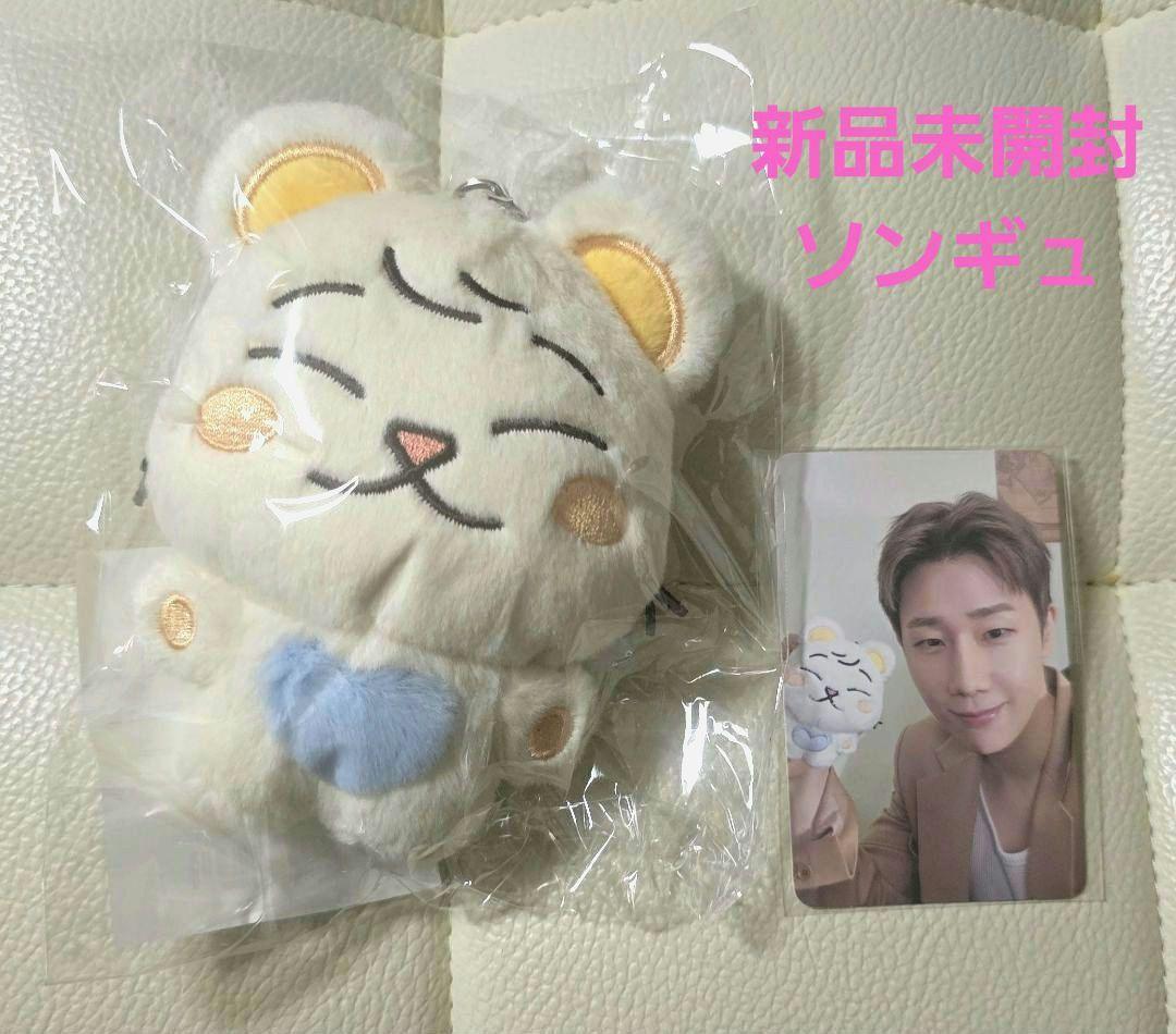 INFINITE PIRITZ ソンギュ ピリッツ ぬいぐるみ トレカ付き ソロモン商事 TRUZ minini フォトカードホルダーVer.2 PHOTO CARD