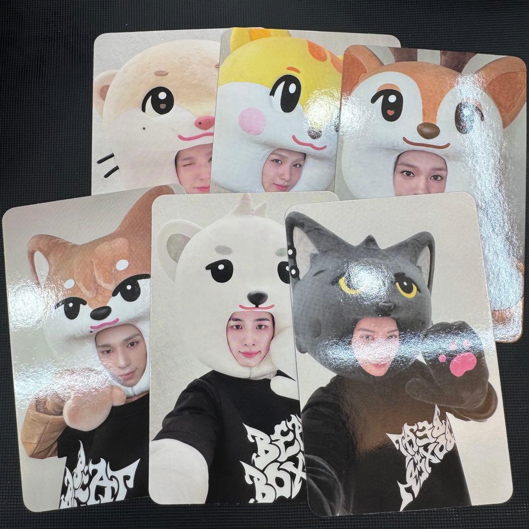 ❌トモヤ NEXZ ミニペンミ　サノク　セット