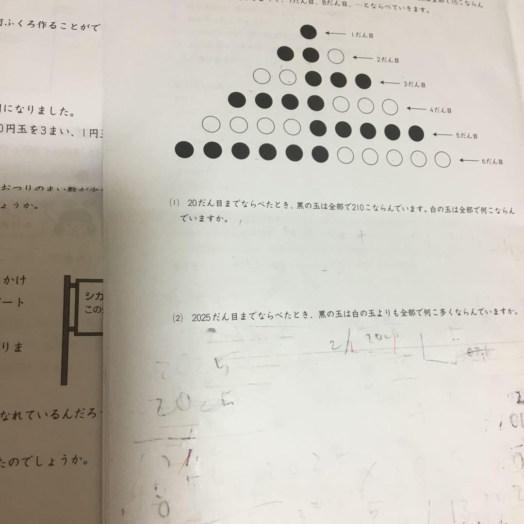 専用！全国テスト、学ぶチカラ、難関チャレンジ、マイファー、講習(合計20セット)