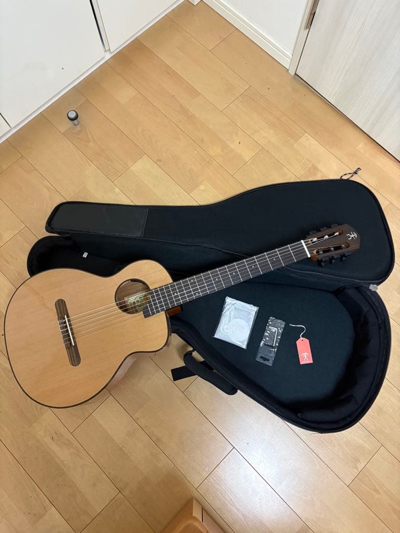 aNueNue MN14E ナイロン弦モデル【値下げしました】