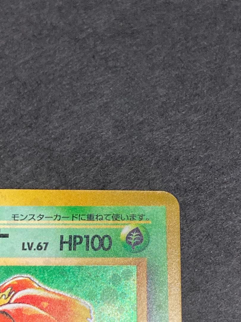 《大幅値下げ中》《美品》旧裏　フシギバナ ★ 第1弾拡張パック