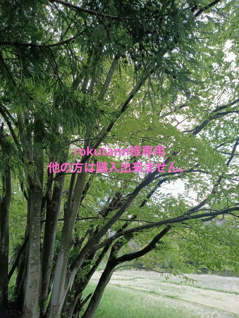 15号の市松人形のお着物の一式8点　ご依頼品