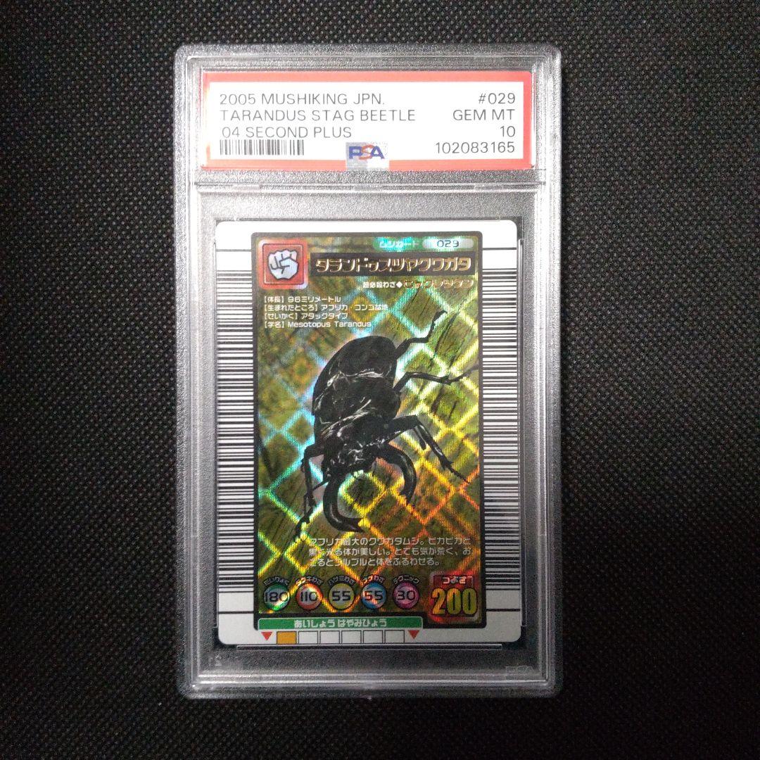 PSA10　タランドゥスツヤクワガタ　2004 セカンド プラス