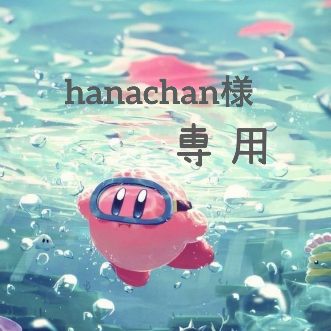 極美品 HERMES カデナ キー シルバー 南京錠 鍵2本付き 保存袋