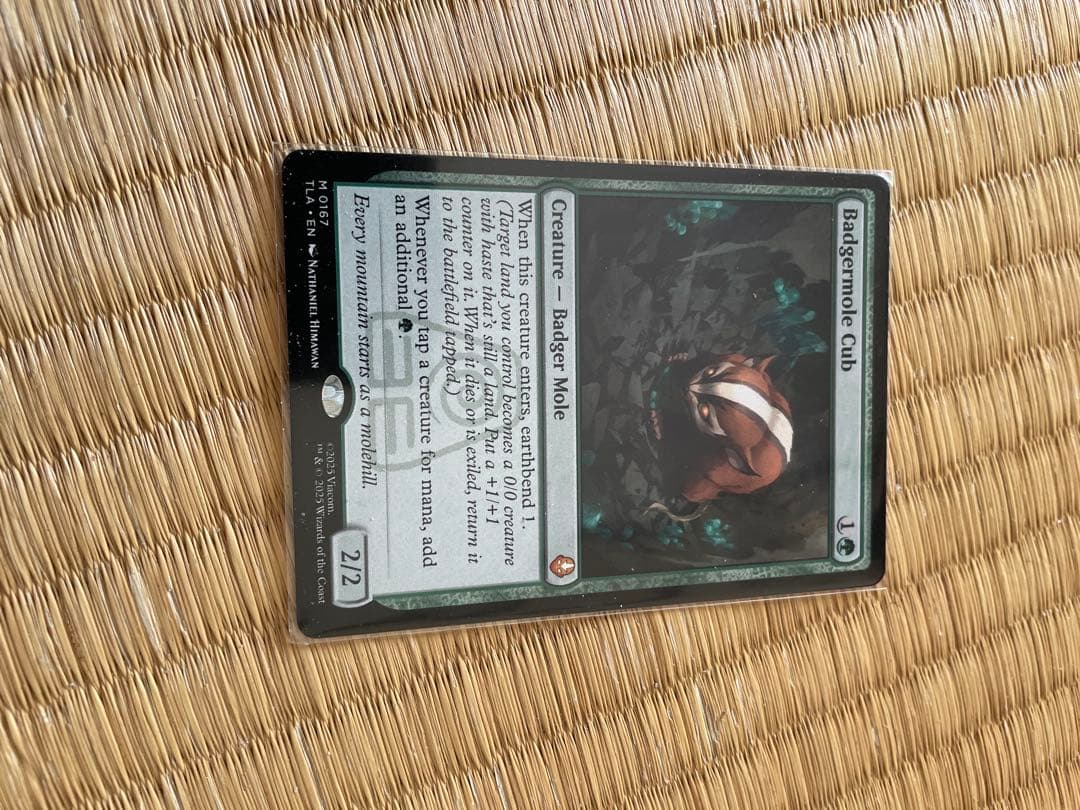 【MTG アナグマモグラの仔/Badgermole Cub 通常 英語1枚】 EX]アナグマモグラの仔/Badgermole Cub《英語》【TLA】