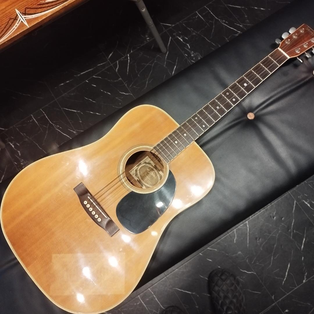 Aria ＆ co アコースティックギター　W-200 ARIA（アリア） Aria W-200 Acoustic Guitar アコースティックギター