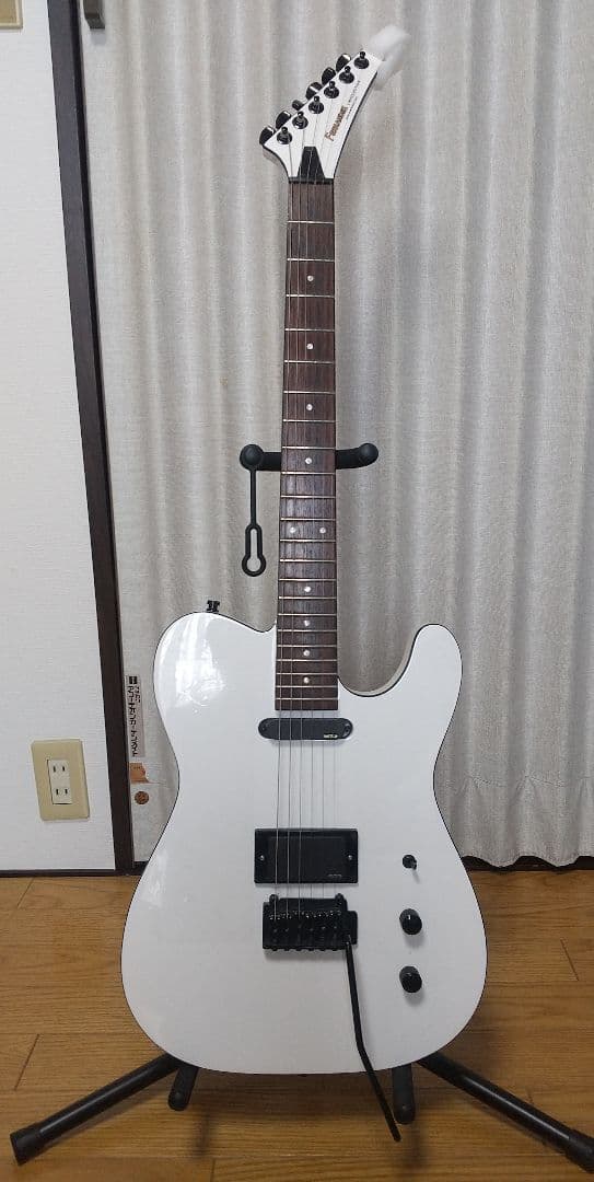 ギター FERNANDES TEJ-STD SH SW #EMG PU