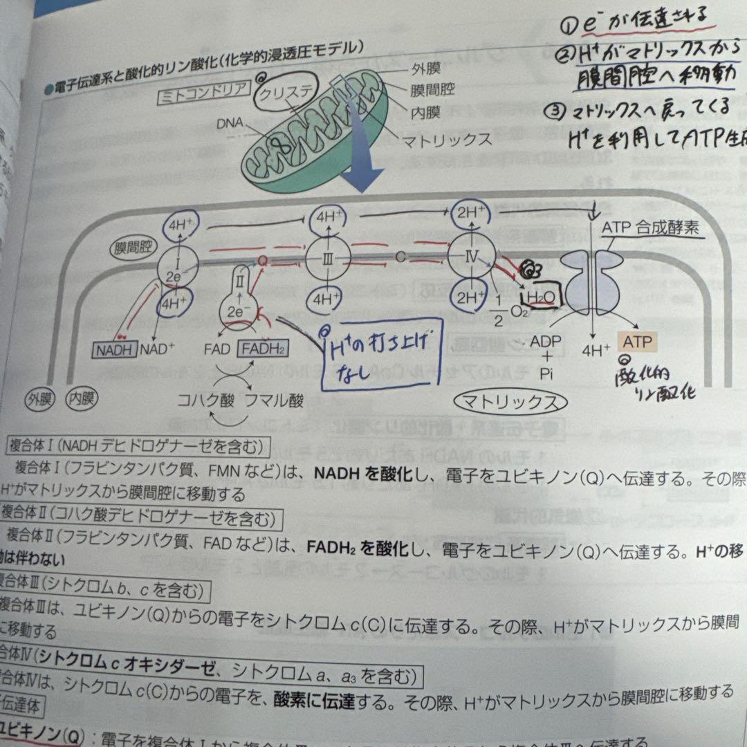 第109回対策薬剤師国家試験対策参考書〈青本青問〉6年制国試対応版＋