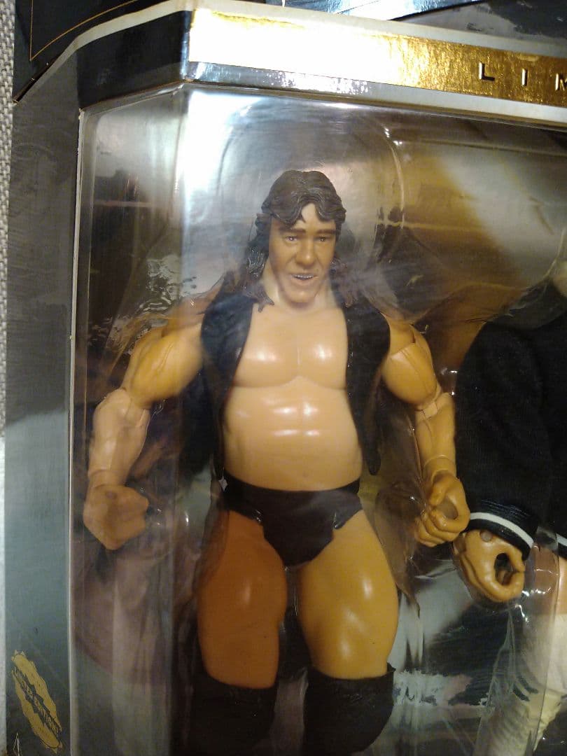 良い 開封品 貴重！WWE クラシック限定版！全日 テリー・ゴディ