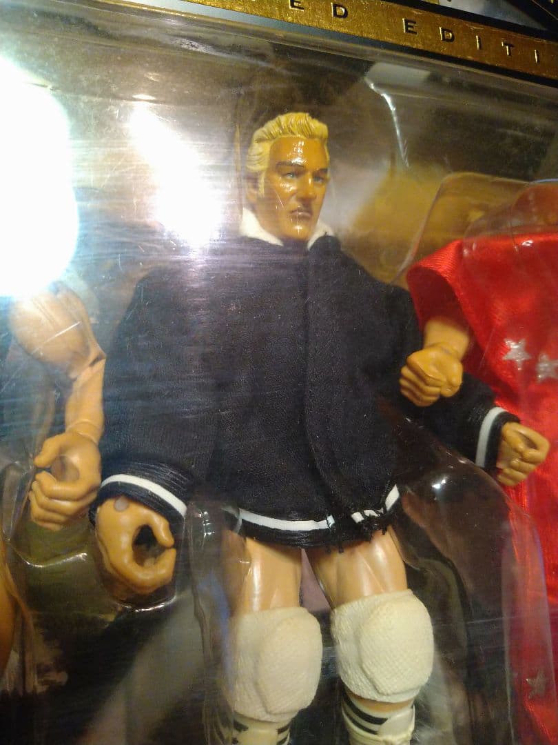 良い 開封品 貴重！WWE クラシック限定版！全日 テリー・ゴディ