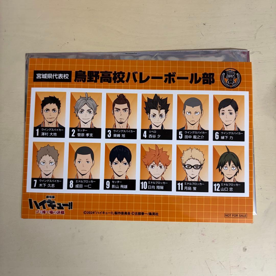 ハイキュー!! 烏野高校バレーボール部 ゴミ捨て場の決戦 選手名鑑風
