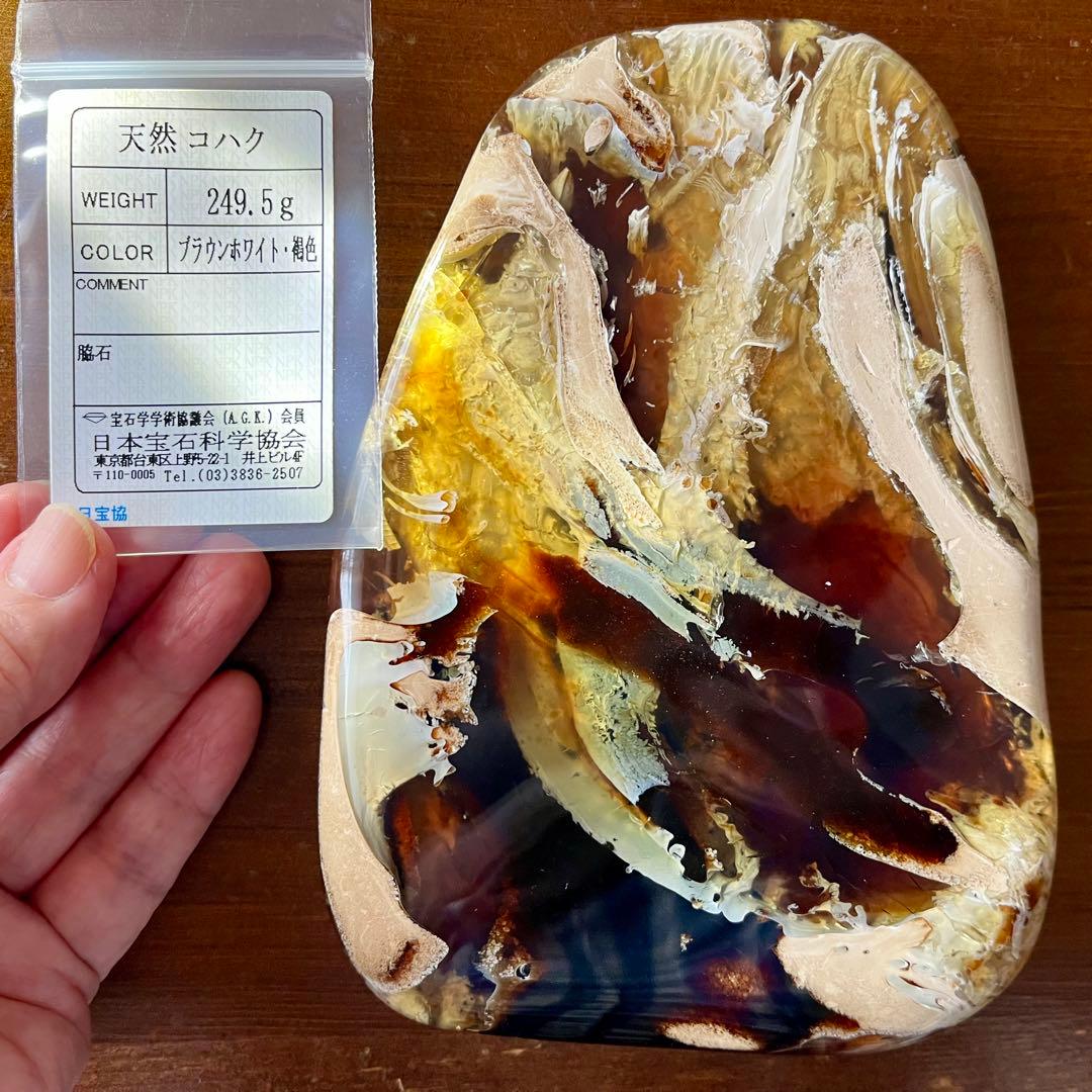 鑑別付 琥珀 原石 標本 巨大 タイガー アンバー レア 希少 鑑賞石