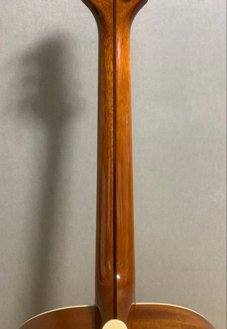 Samick Greg Bennett ASOM オール単板 アコギ